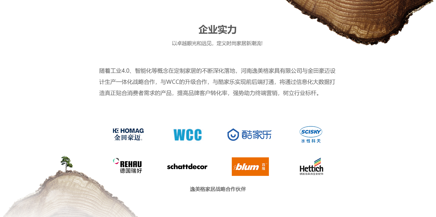 企业实力.jpg